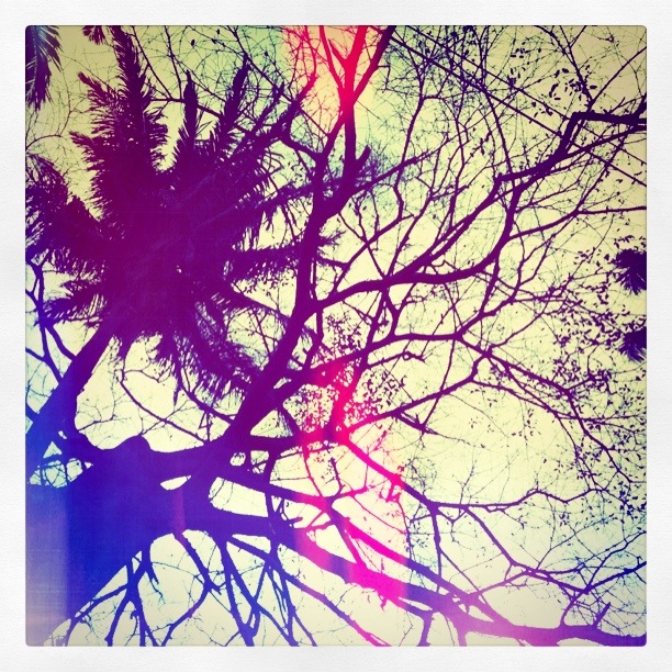 Jungle