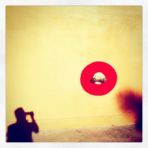 Shadowplay