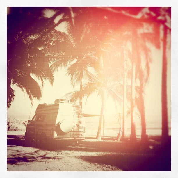 The Van