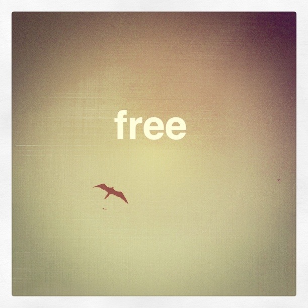 Free