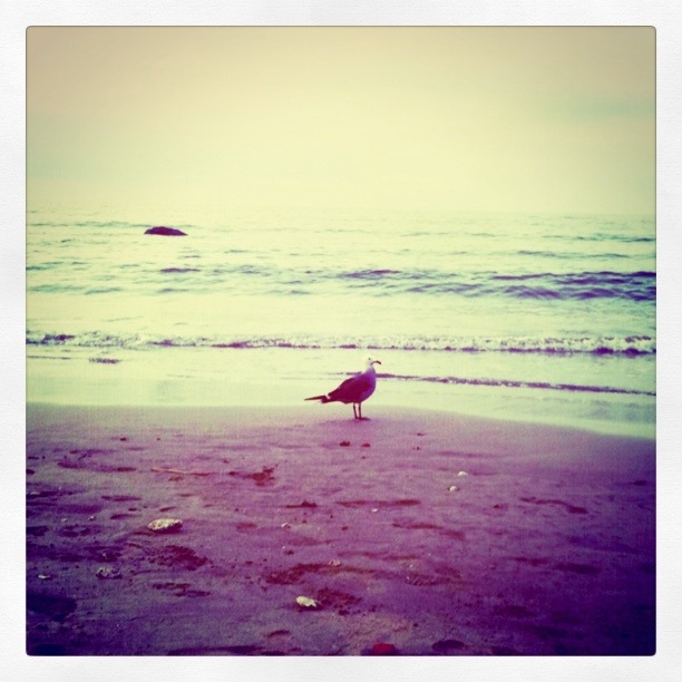 Free or Lonely?