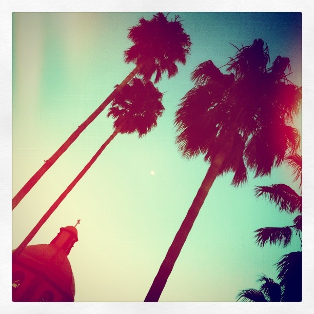 Bernal