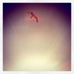 Rising