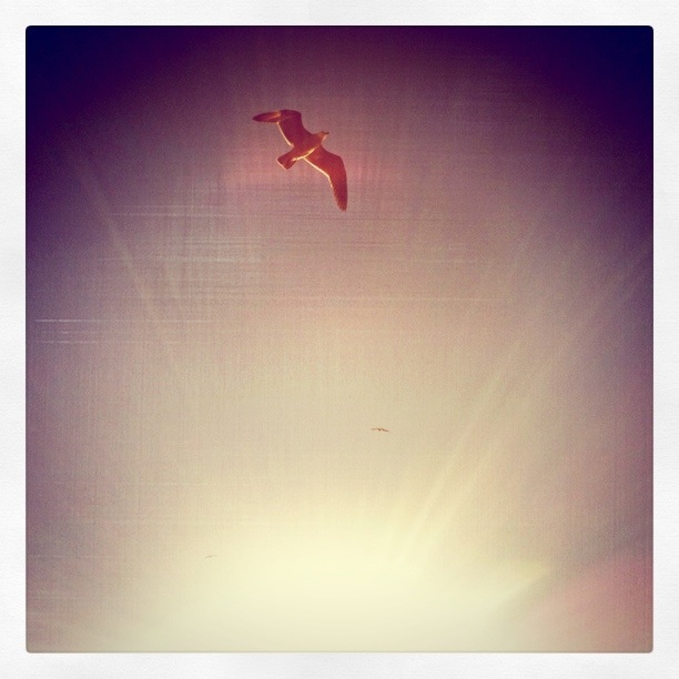 Rising