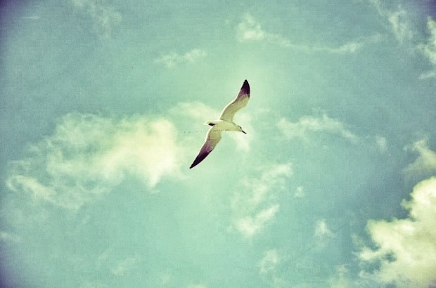Sea