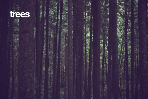 trees