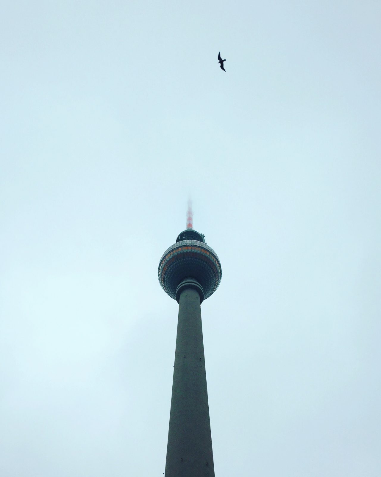 img_4012